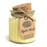 Mystic Musk Soy Pot Candle