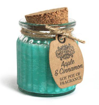 Apple & Cinnamon Soy Pot Candle